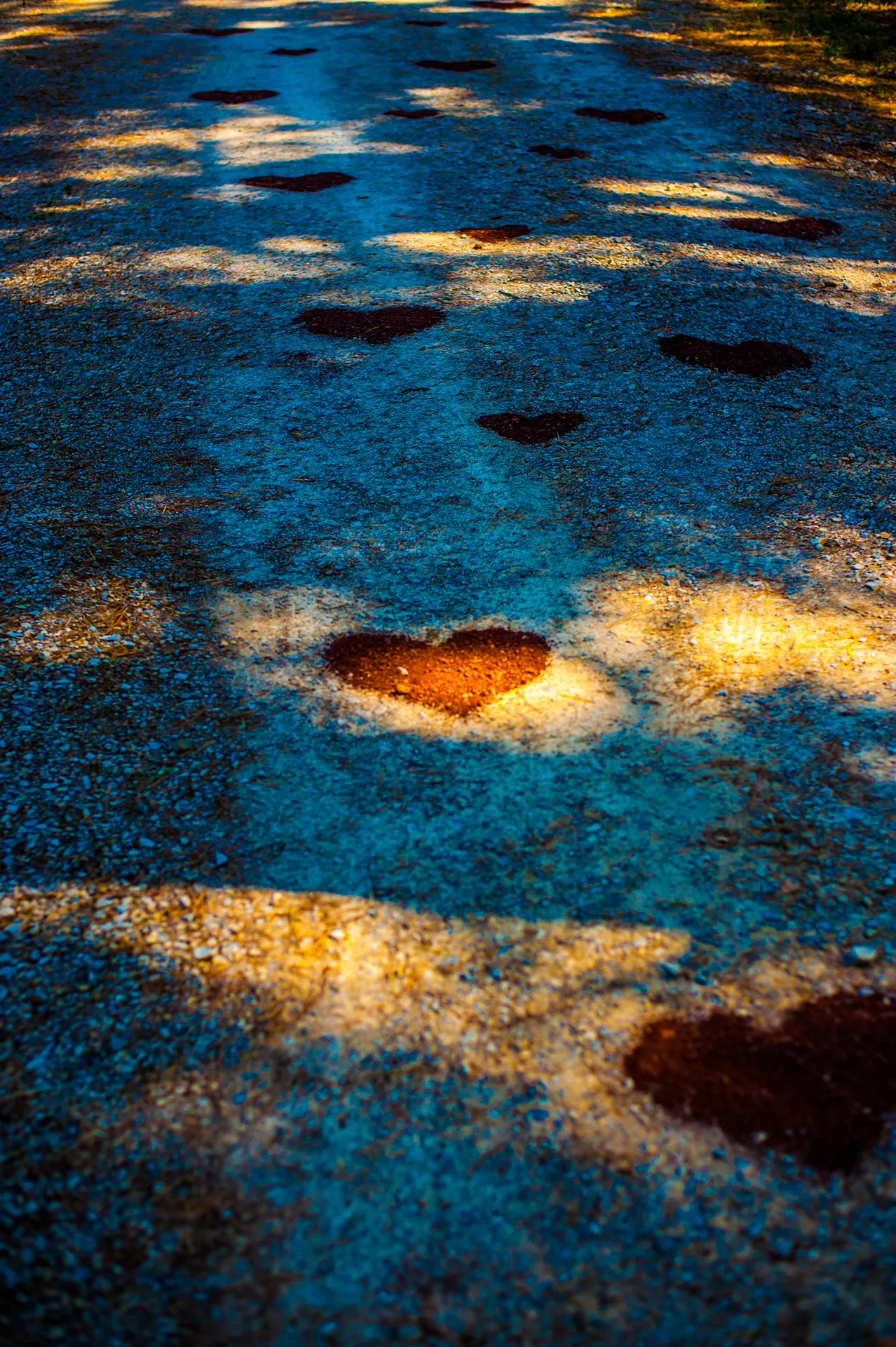 Reflet de lumière sur l’eau